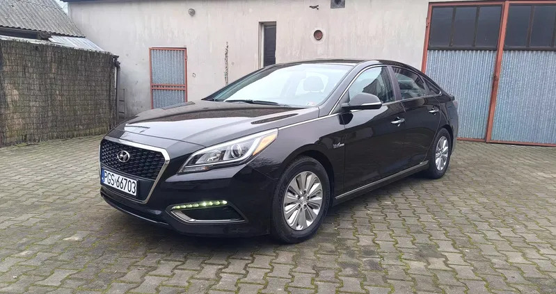 wielkopolskie Hyundai Sonata cena 64900 przebieg: 136000, rok produkcji 2017 z Gostyń